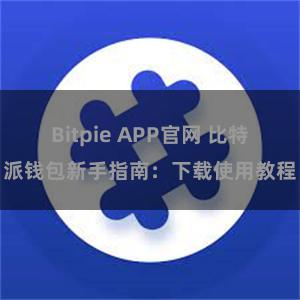 Bitpie APP官网 比特派钱包新手指南：下载使用教程