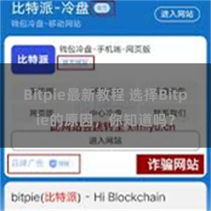 Bitpie最新教程 选择Bitpie的原因，你知道吗？