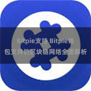 Bitpie支持 Bitpie钱包支持的区块链网络全面解析