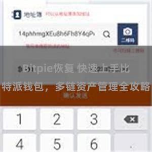 Bitpie恢复 快速上手比特派钱包，多链资产管理全攻略