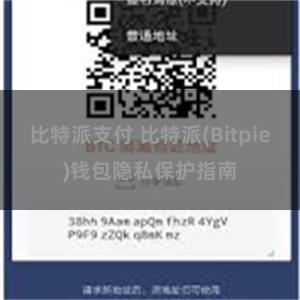 比特派支付 比特派(Bitpie)钱包隐私保护指南