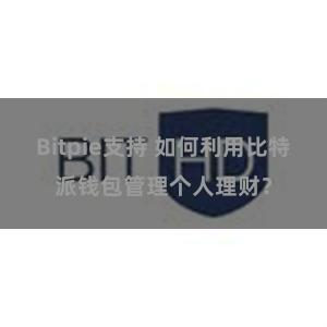 Bitpie支持 如何利用比特派钱包管理个人理财？