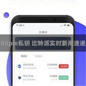Bitpie私钥 比特派实时新闻速递