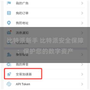 比特派新手 比特派安全保障：保护您的数字资产