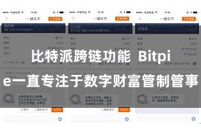 比特派跨链功能  Bitpie一直专注于数字财富管制管事
