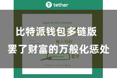 比特派钱包多链版  罢了财富的万般化惩处