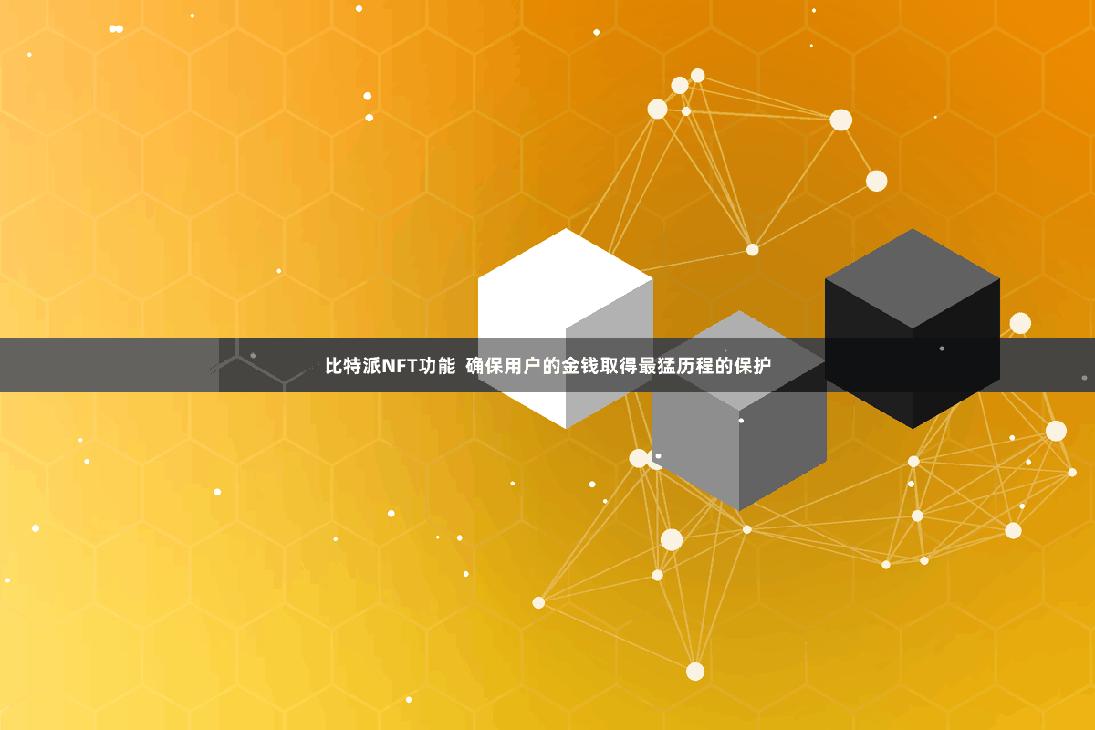 比特派NFT功能  确保用户的金钱取得最猛历程的保护